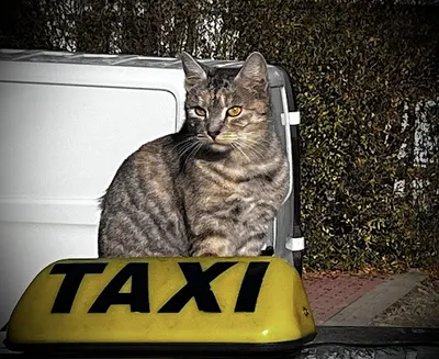 Taxi Wojciech Czajkowski